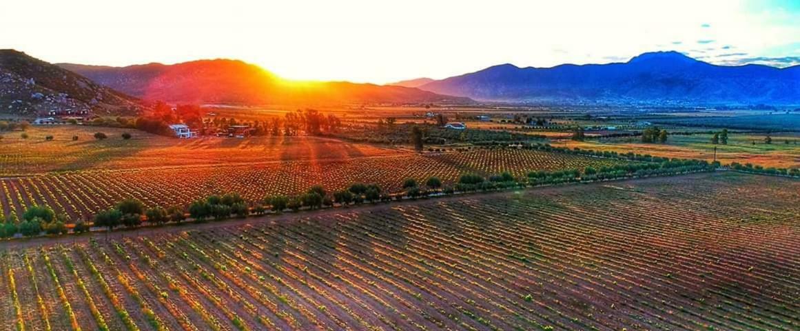 Villa Corsua Valle de Guadalupe Bagian luar foto