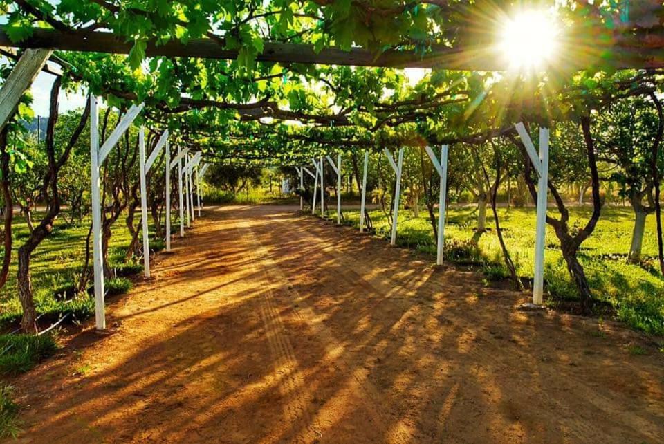 Villa Corsua Valle de Guadalupe Bagian luar foto